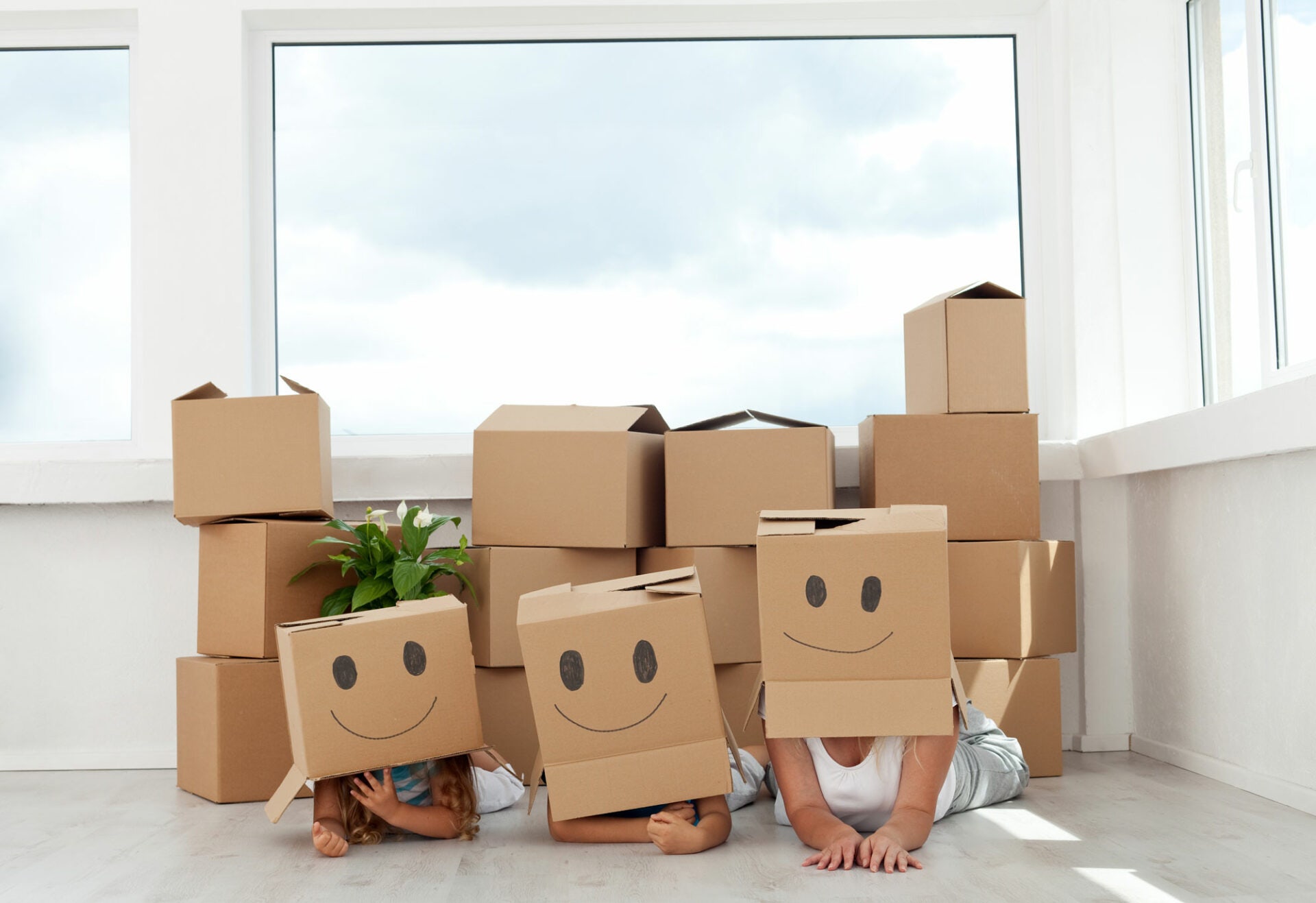 cartons