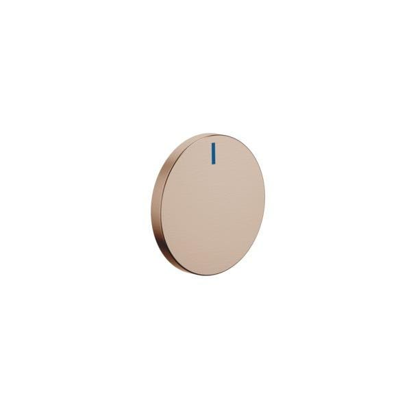 INSERT DE PGN. BLEU BRZ.BR.       11181811-42