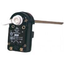 THERMOSTAT - A canne