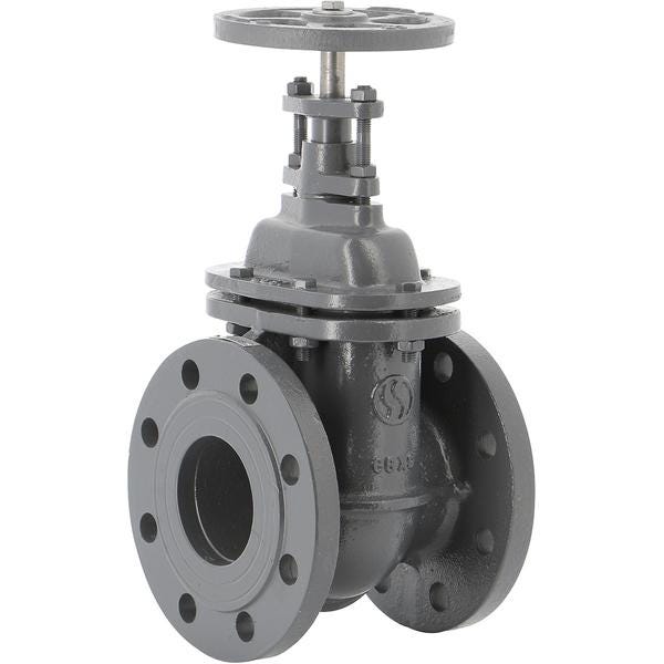 VANNE OPERCULE 150 DN250 FTE GN10      150250