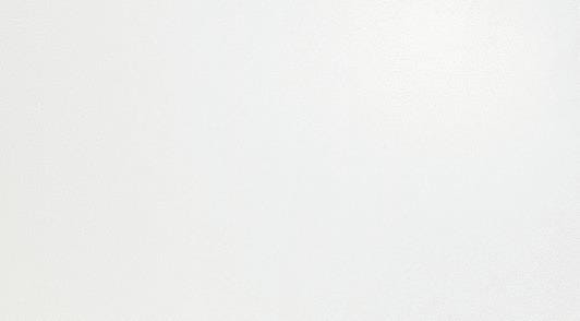 CAR. SOLID WHITE MATT 50X120             A6BF