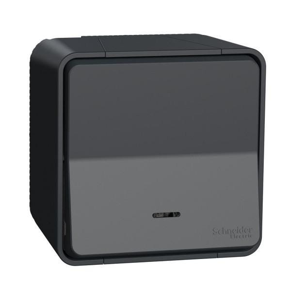 VA ET VIENT DBL LUM SAIL.CPLT MUREVA MUR35024 SCANELEC SCHNEIDER-ELECTRIC  [MUR35024]