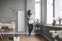 RAD.EQUATEUR 4 HOR.1000W BLANC MAT     427233