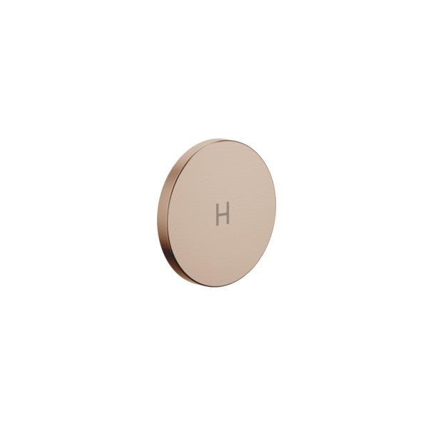 INSERT DE PGN. H BRZ.BR.          11185811-42