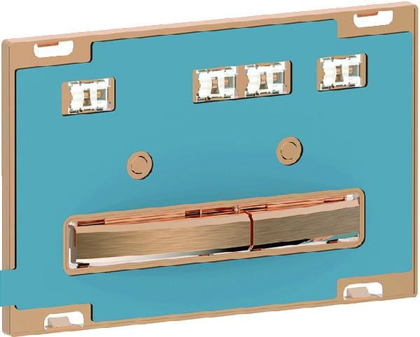 PLAQUE  SIGMA50 DBLE TCH OR ROUG 115.670.00.2