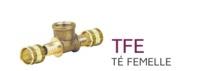 TE PER TFE - Té Femelle