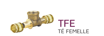 TE PER TFE - Té Femelle