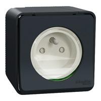 PRISE COURANT MUREVA 2P+T IP55    SCHMUR35031 MAGELEC