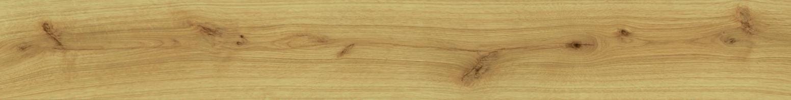 CAR. EXENCE ALMOND MAT SENSIT. 18,5X150  AL87 ATLAS CONCORDE  [AL87] 