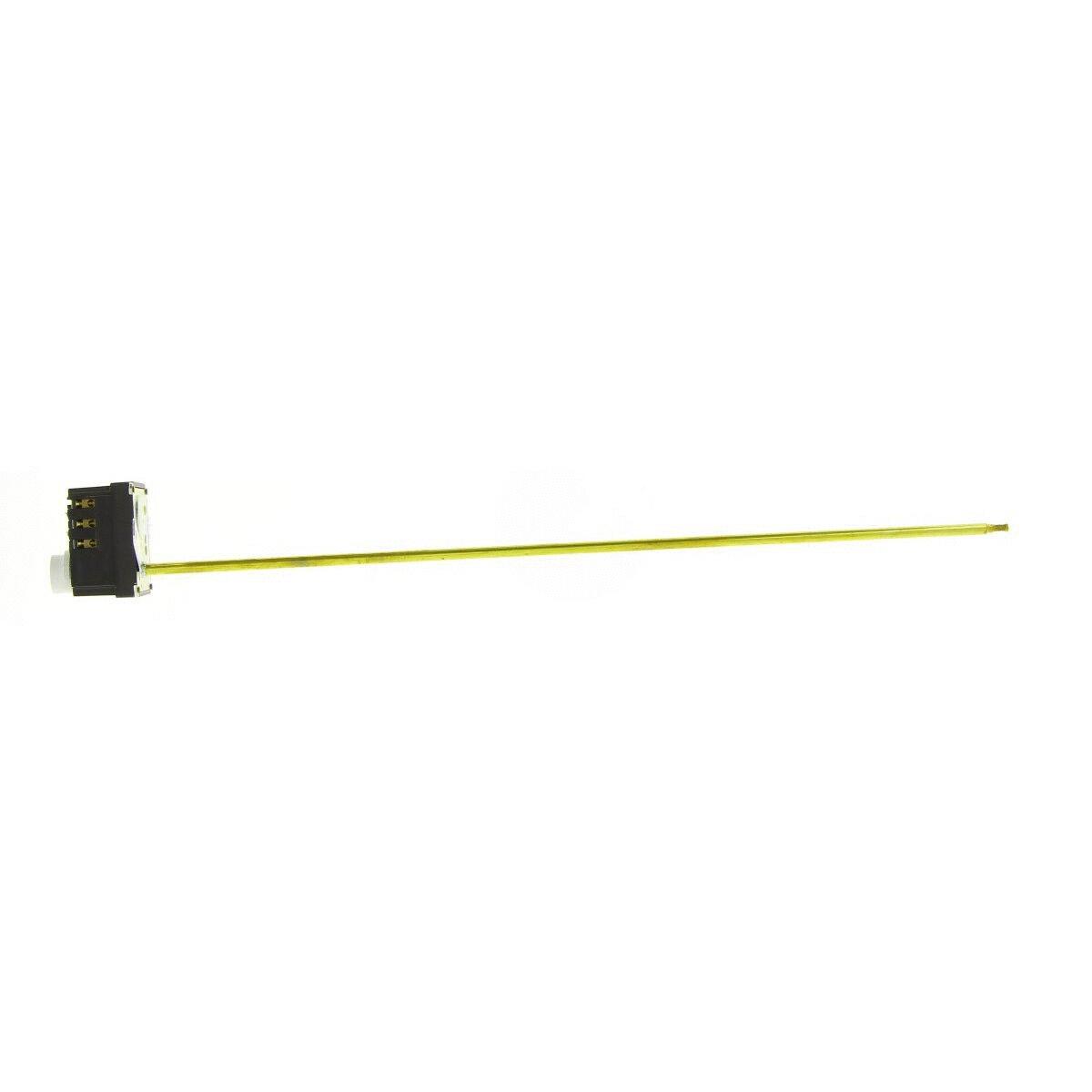 THERMOSTAT - A canne