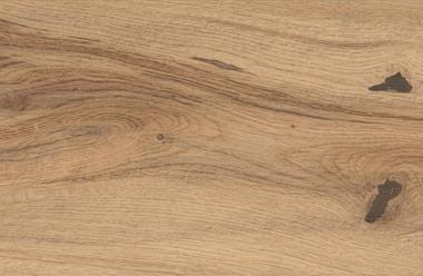 CAR. LOG ICON OAK FOREST ELEMENTO L 20X1 AX34