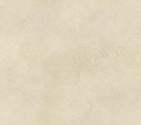 CAR. BOOST EXPRESSION CAMEL 30X60        AYV0