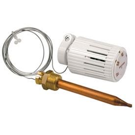 TETE THERMOSTATIQUE+PALPEUR DIST.2M R462LX021 GIACOMINI  [R462LX021]