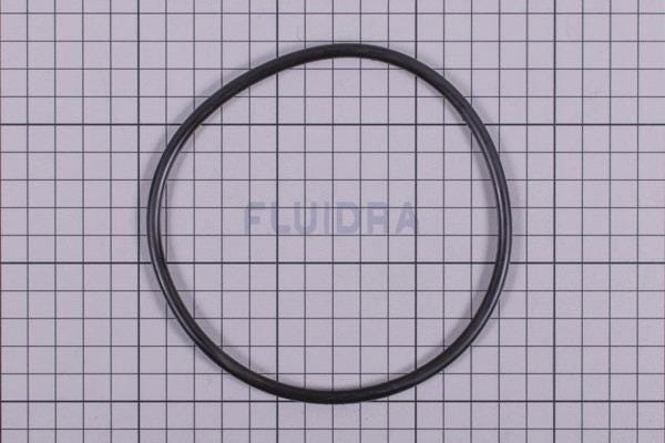 JOINT TORIQUE 120.65X5.33 COUV.NM  4408010702 FLUIDRA  [4408010702]