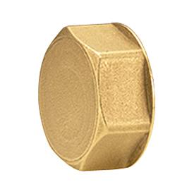BOUCHON P.COLLECT.GIACOM. ALESAGE 16 R594Y002 GIACOMINI  [R594Y002]