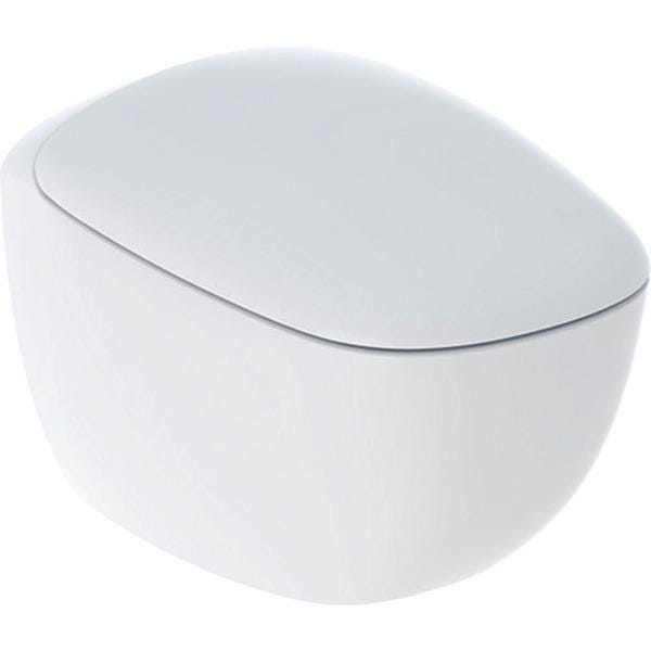 PACK WC SUSP CITTERIO RIMFREE    500.805.00.1 GEBERIT