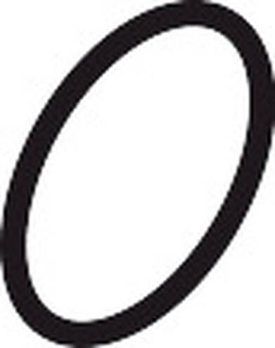 JOINT TORIQUE 30X5           H.GROHE 98153000 HANSGROHE  [98153000]