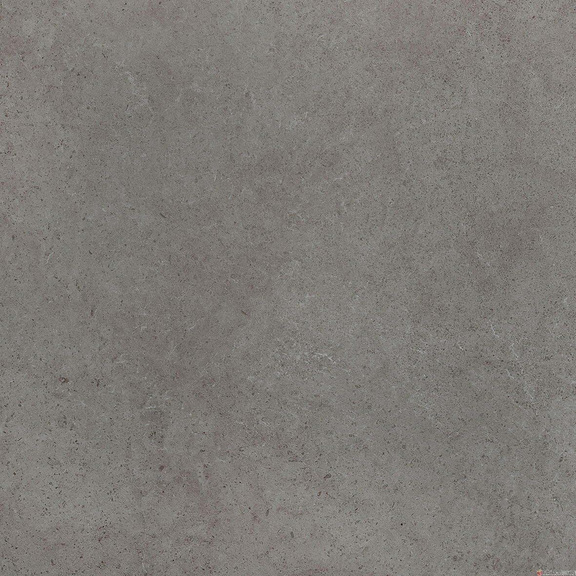 EXCLUSIVITE RICHARDSON PAR ROCA - Carreau