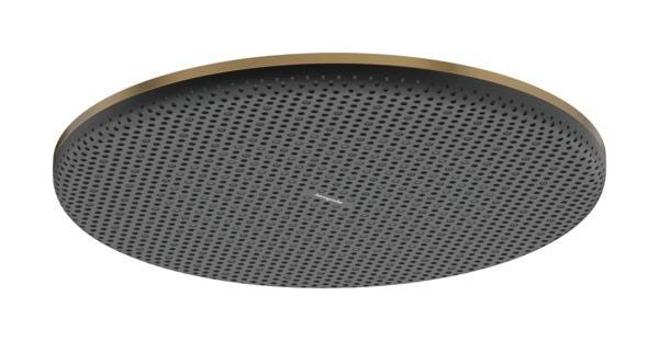 RAINDANCE ALIVE S DOUCHE DE TETE 300 24523140