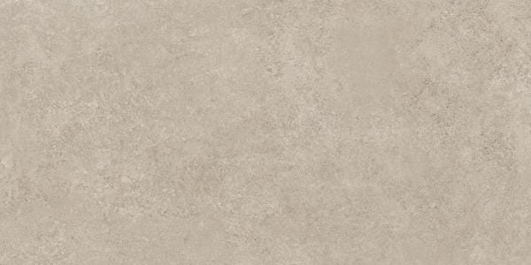 CAR. ROOM 60X120 GRIGO RT                MP6Y