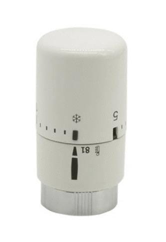 TETE THERMOST.LIQUIDE CHR/BLC     TESTELIQ301 IRSAP SPA  [TESTELIQ301]