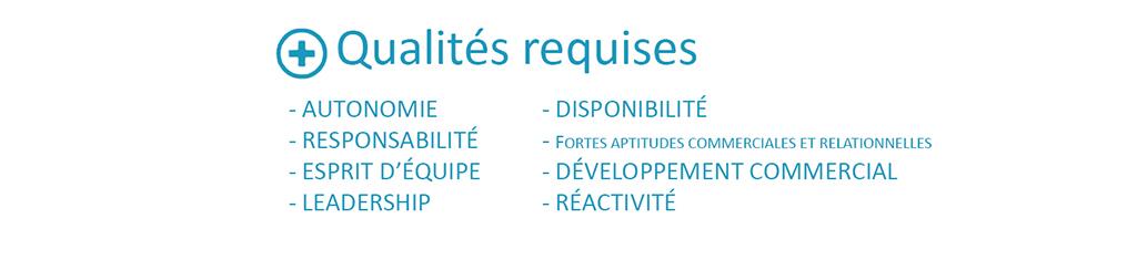 Responsable Commercial