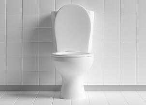 Wc au sol collectivité