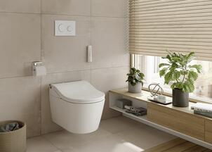 pack Wc suspendu
