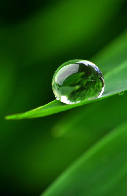 Comment-évaluer-la-qualité-de-l’eau-de-puits-et-de-forage-avant-traitement