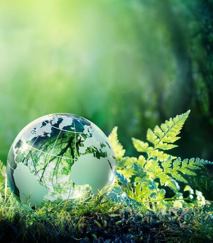 3. Éco-prêt à taux zéro (Eco-PTZ)
