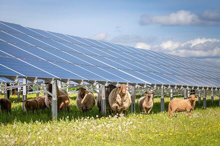 Les avantages du solaire photovoltaïque