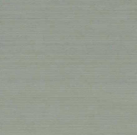 CAR. APLOMB LICHEN STRIPES CORNER 50     A6NN