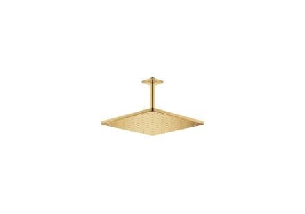 DOUCHE DE TETE PLAFO. 142MM 1 JET    26566GL0 GROHE  [26566GL0] 