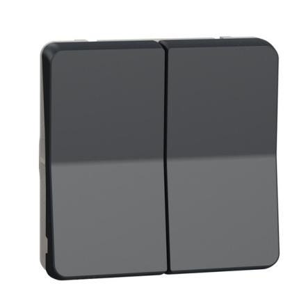VA ET VIENT DBL IP55 GRIS  MUREVA    MUR35019 SCANELEC SCHNEIDER-ELECTRIC  [MUR35019]