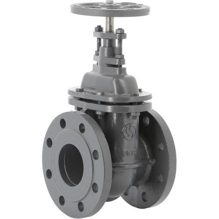 VANNE OPERCULE 150 DN250 FTE GN10      150250