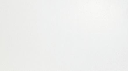 CAR. SOLID WHITE MATT 50X120             A6BF