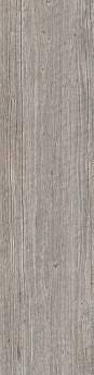 PLI. AXI SILVER FIR 7,2X90               ANLK ATLAS CONCORDE