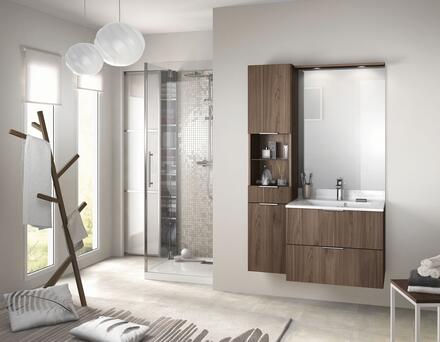 COMPOSITION COLLECTION DELPHY - EVOLUTION