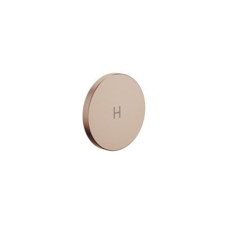 INSERT DE PGN. H BRZ.BR.          11185811-42