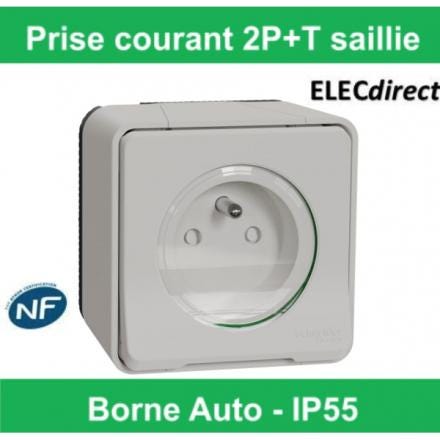 PRISE COURANT 2P+T COMP.BL.SA.MUREVA MUR39030 SCANELEC SCHNEIDER-ELECTRIC  [MUR39030]