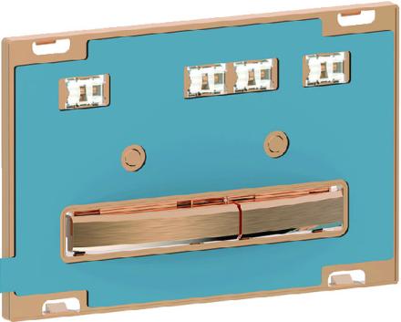 PLAQUE  SIGMA50 DBLE TCH OR ROUG 115.670.00.2