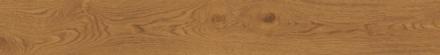 CAR. 6,5X120 BAT EXENCE AMBER            AHAD