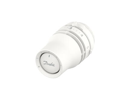TETE THERMOSTATIQUE LIQUIDE - Tête RAW