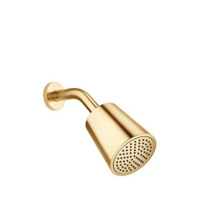 DOUCHE DE TETE OR BROSSE          28504979-37
