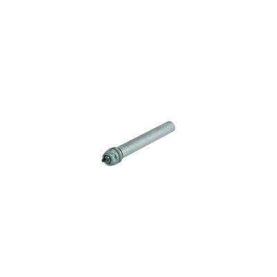 ANODE