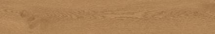 CAR. ENTICE COPPER OAK NATURAL ELEMENTO  AEJQ