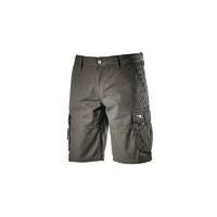 BERMUDA WONDER2  T.S NOIR        160308-80006