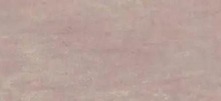 FAI. RAW ROSE                     50X120 A4S0 ATLAS CONCORDE