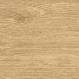 WOULD SUGAR 22,5X90 RECTIFIED            AG4G