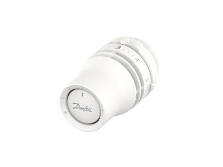 TETE THERMOSTATIQUE LIQUIDE - Tête RAW